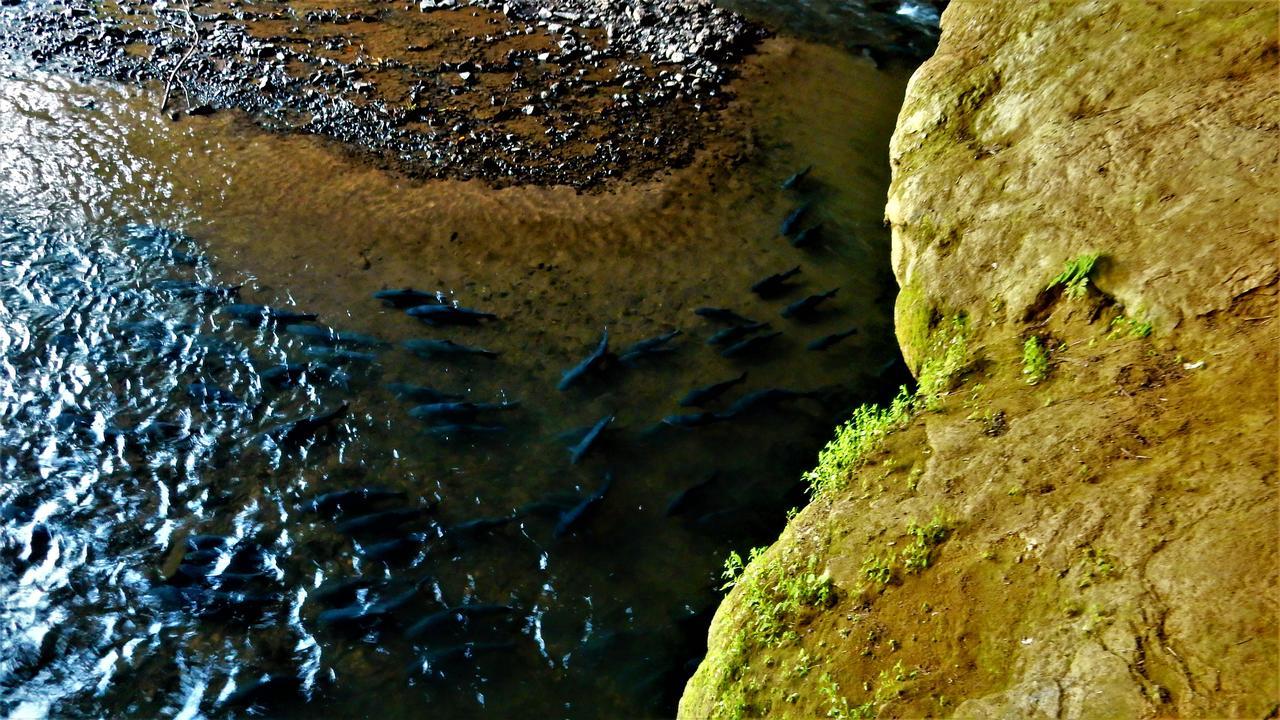 Riverside Ban Cho Lae Exteriér fotografie